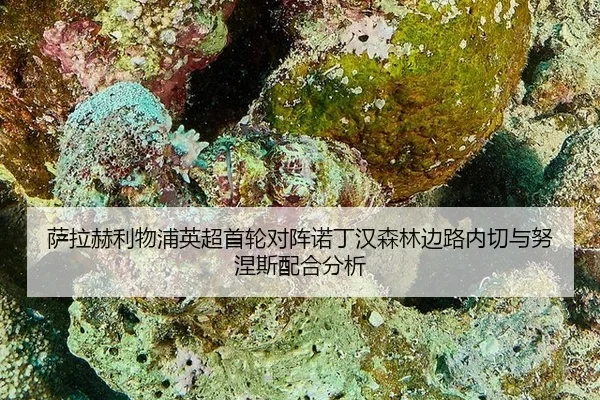 sa-la-he-li-wu-pu-ying-chao-shou-lun-dui-zhen-nuo-ding-han-sen-lin-bian-lu-nei-qie-yu-nu-nie-si-pei-he-fen-xi-2-979.jpg