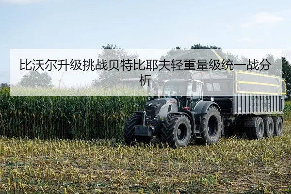 比沃尔升级挑战贝特比耶夫轻重量级统一战分析